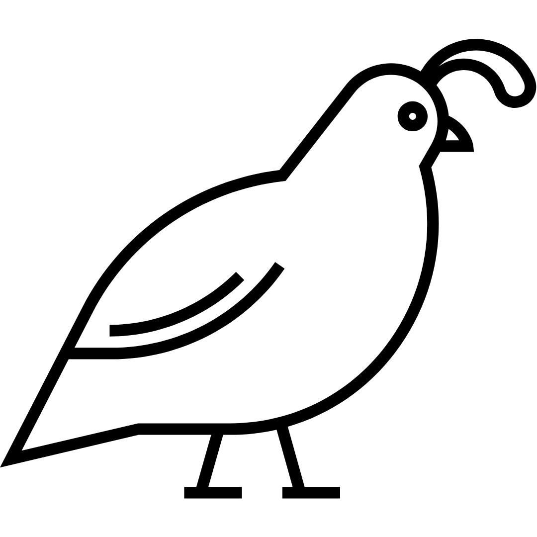 Frozen Quail (CHICKS)