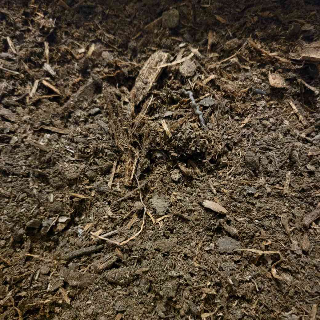 Jungle Mix Substrate