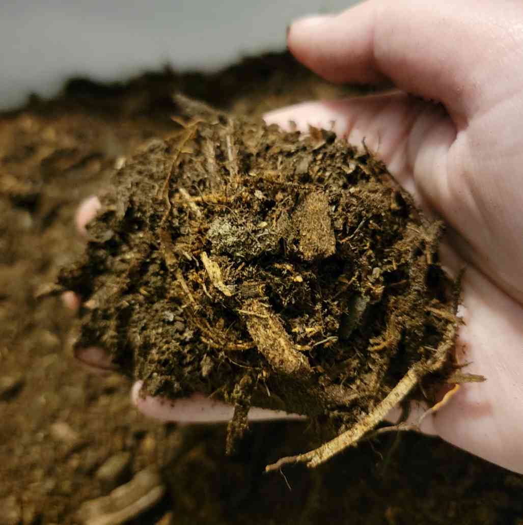 Jungle Mix Substrate