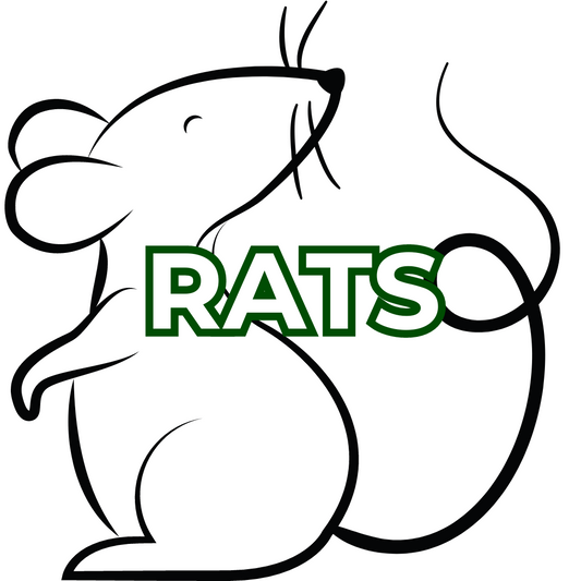 Frozen Rats – Reptile Ready