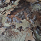 Bio Chow for Isopods & Springtails