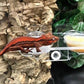 Pangea Gecko Ledge Suction Cup (Acrylic Small 0.5oz cups)
