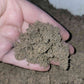 Arid Mix Substrate