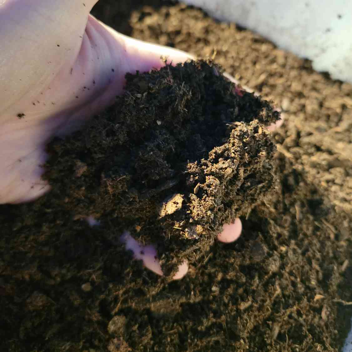 Forest Mix Substrate