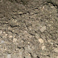 Forest Mix Substrate