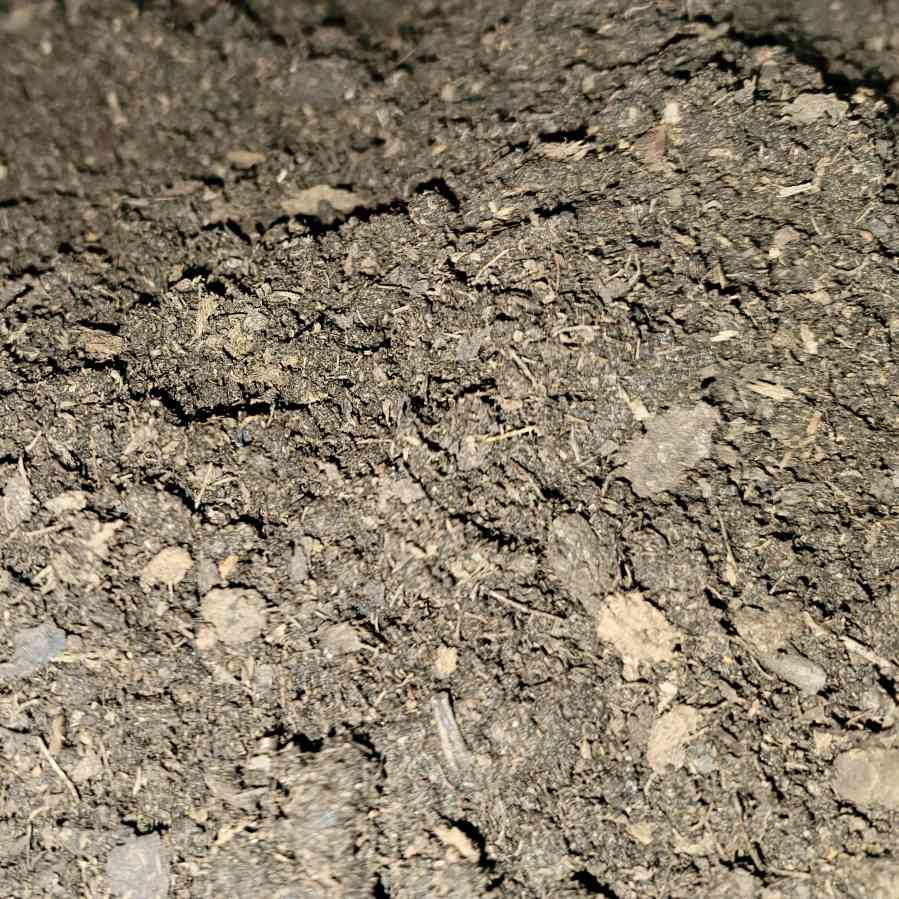 Forest Mix Substrate
