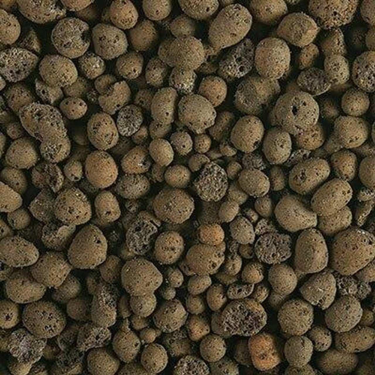 Clay Pebbles (Clay Balls/LECA/Expanded Clay Pebbles)