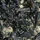 Springtails (White)